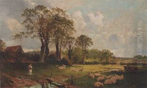 Across The Meadow by Charles Collins II