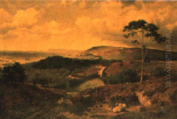 View At Holmbury Hill, With Coneyhurst And Blackdown In The Distance - view 1
