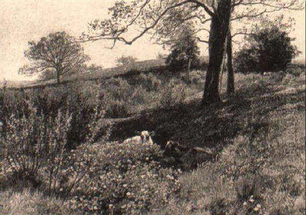 Cows In A Spring Meadow - view 1