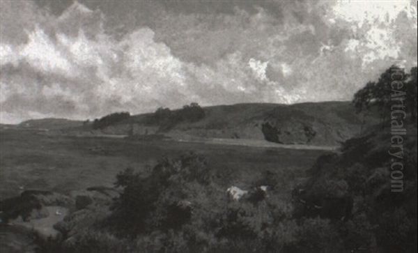 Cattle On The South Downs - view 1