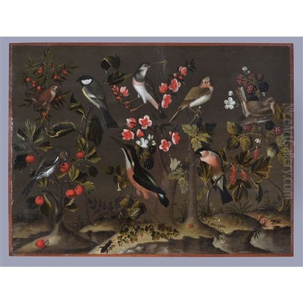 Study Of Birds, Flowers And Insects - view 1