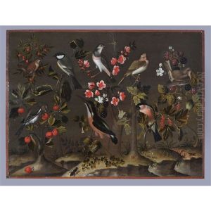 Study Of Birds, Flowers And Insects by Charles Collins