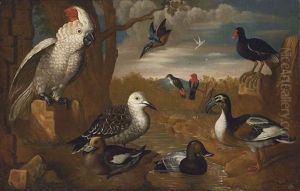 A Cockatoo, Kingfisher And Other Exotic Birds In A Wooded, River Landscape