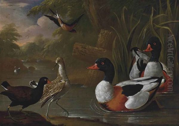 A River Landscape With A Moorhen, A Snipe, Two Shelduck And A Swallow - view 1