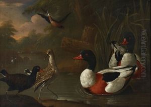 Landscape With Ducks by Charles Collins