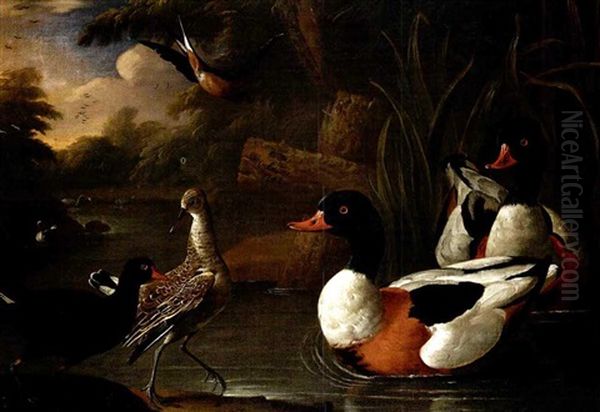 A Landscape With Ducks - view 1