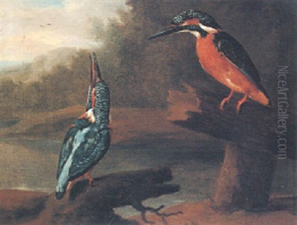 Kingfishers In A Landscape - view 1