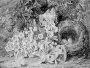 Stilleben Mit Vogelnest by Thomas Collins