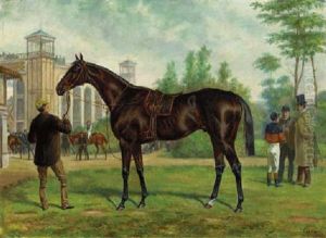 Before The Start: A Bay Racehorse Held By His Groom