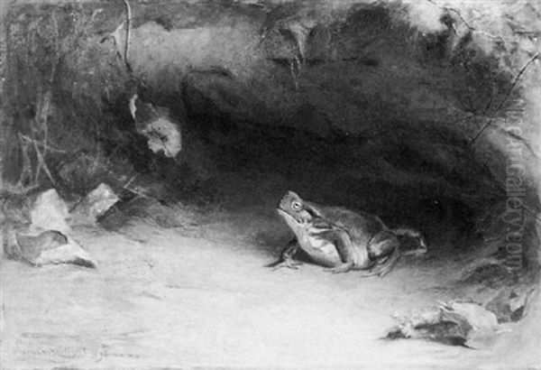 A Frog Pursuing A Fly On A Forest Floor - view 1