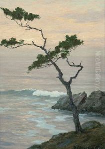 The Lone Cypress by Roi Clarkson Colman