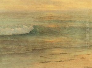 California Surf