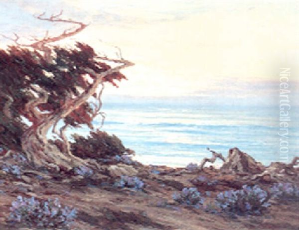 Cypress Point Monterey - view 1
