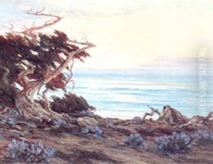 Cypress Point Monterey by Roi Clarkson Colman
