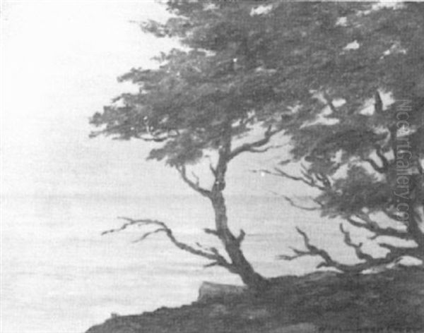Seaside Landscape With Cypress Trees - view 1