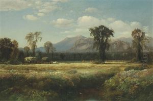 Hayfield (conway Meadow, New Hampshire) by Samuel Colman