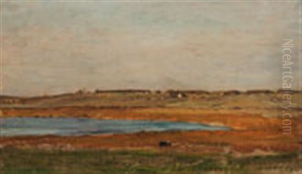 Expansive Summer Landscape - view 1