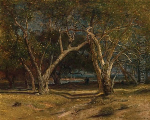 Landscape Near Santa Barbara - view 1
