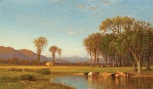Summer Afternoon In The Meadows, North Conway, New Hampshire