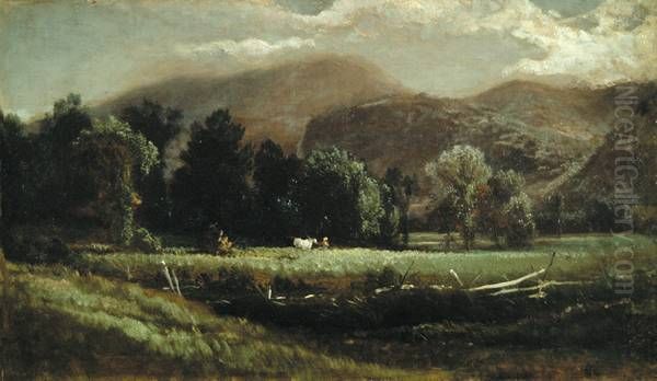 Farm In The Adirondacks - view 1