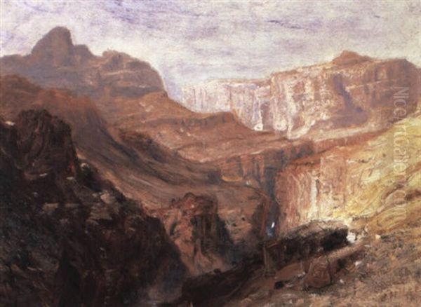 A View In The Grand Canyon - view 1