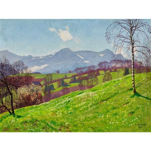 Fruhlingslandschaft Mit Blick Auf Die Berner Alpen - view 1
