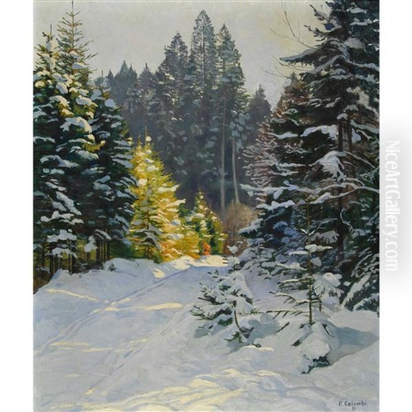Sonniger Waldweg Im Winter - view 1