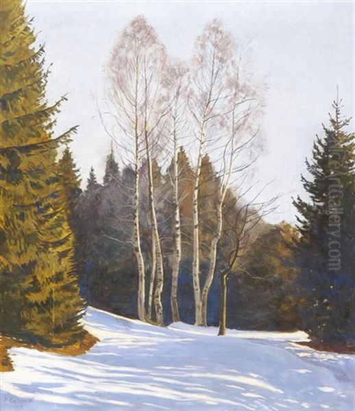Waldlichtung Mit Birken An Einem Sonnigen Wintertag Im Fruhjahr - view 1