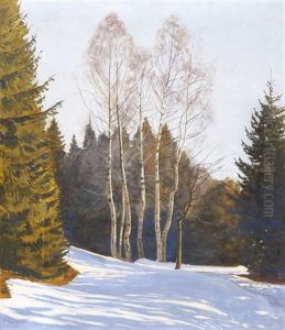 Waldlichtung Mit Birken An Einem Sonnigen Wintertag Im Fruhjahr by Plinio Colombi