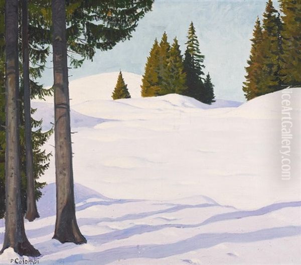 Tannen In Hugeliger Winterlandschaft - view 1