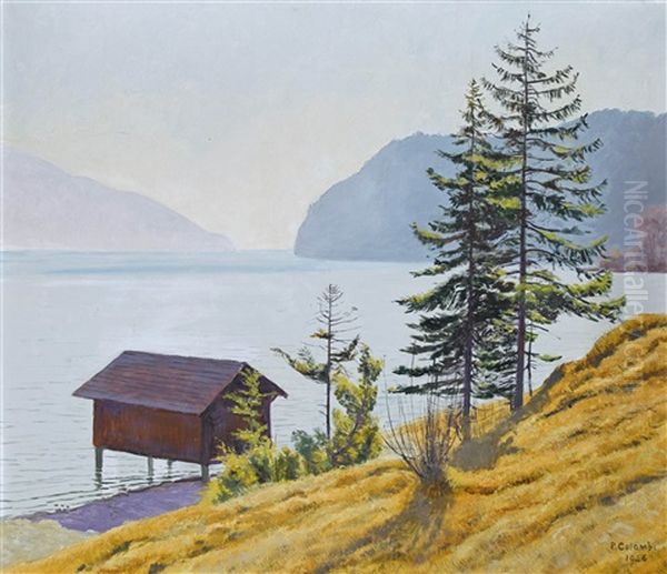 Sonnige Seeuferpartie - view 1