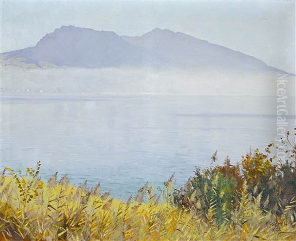Der Hohgant Am Thunersee - view 1