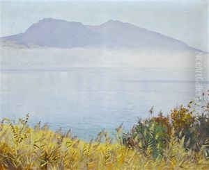 Der Hohgant Am Thunersee