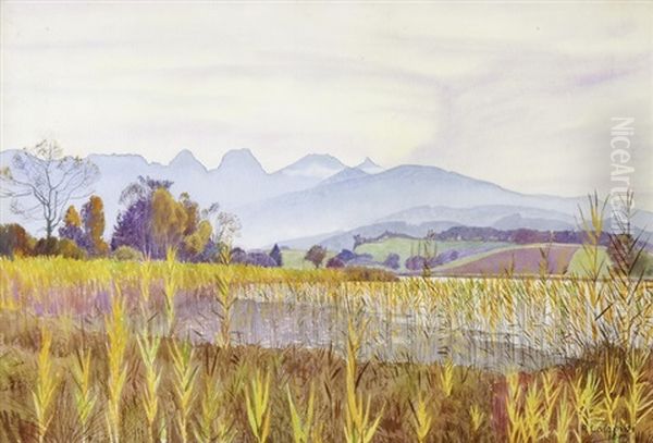 Herbst - Gerzensee - view 1