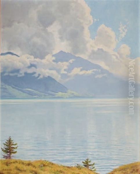 Wolkenstimmung/thunersee - view 1