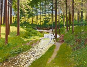 Sommerlicher Wald Mit Bachlauf Sommerlicher Wald Mit Bachlauf
