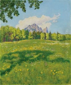 Das Stockhorn Von Osten Aus Gesehen
