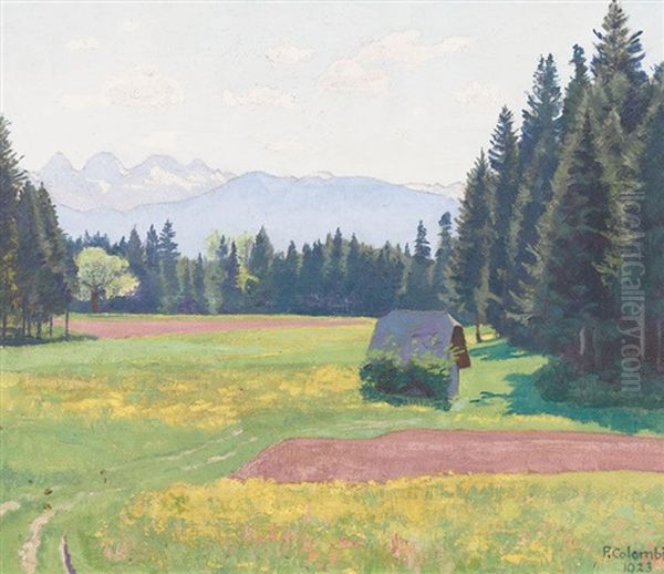 Sommerliche Wiesenpartie Mit Alpenpanorama - view 1