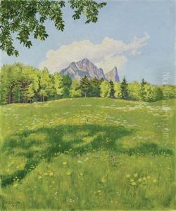 Das Stockhorn Vom Osten Aus Gesehen