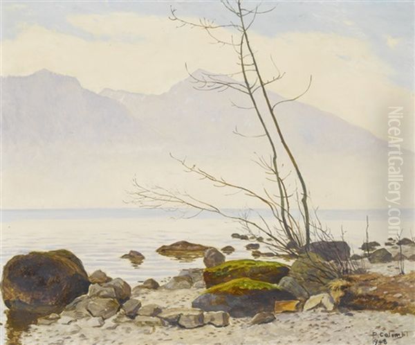 Marzmorgen - view 1
