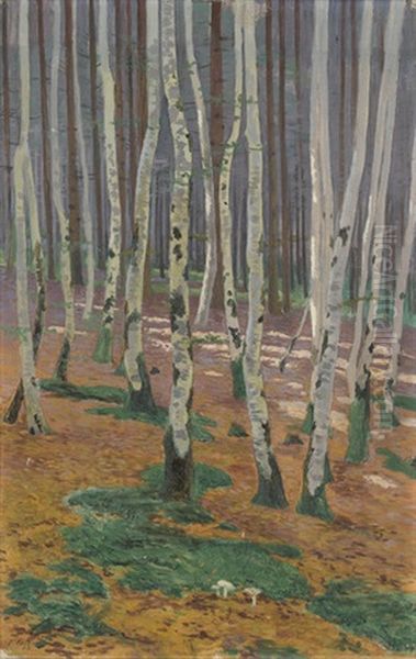Sonniger Birkenwald - view 1