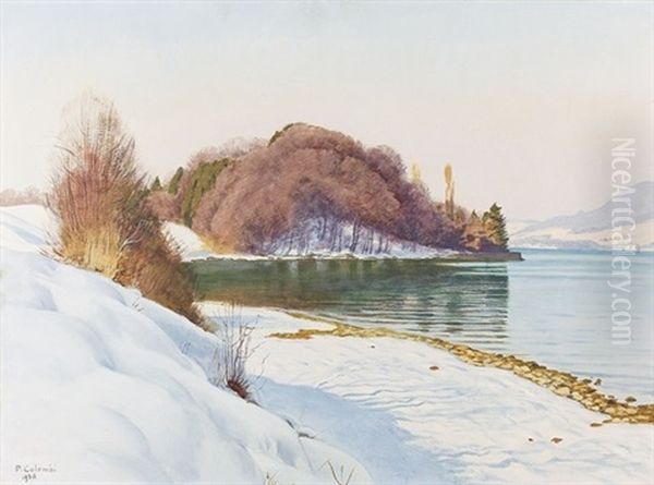 Winterliche Partie Am Thunersee - view 1