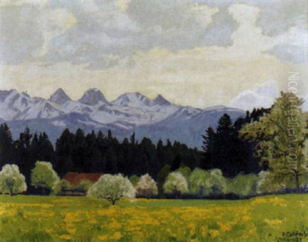 Sommerliche Landschaft Mit Stockhornkette - view 1