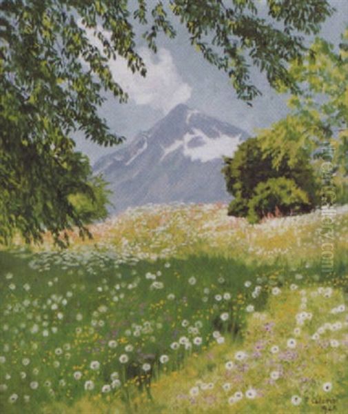 Sommerliche Gebirgslandschaft - view 1