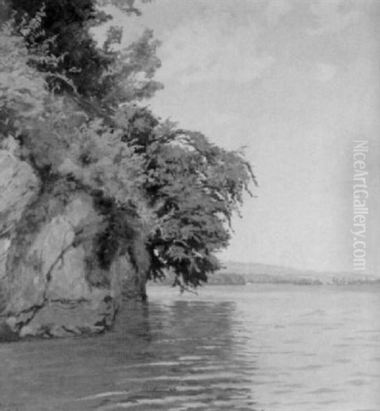 Felsige Uferpartie Am Thunersee - view 1