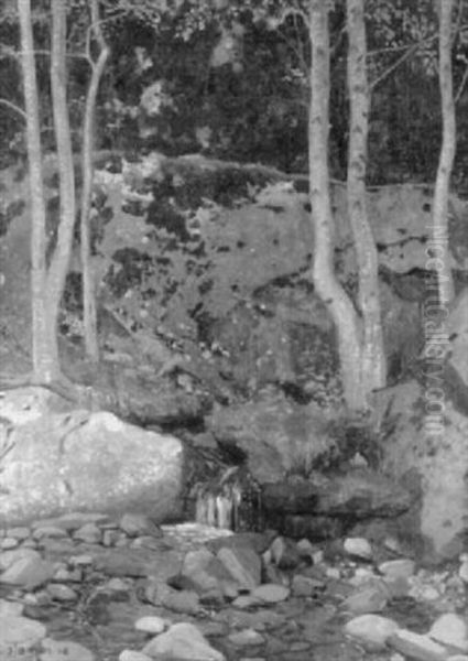 Waldbach - view 1
