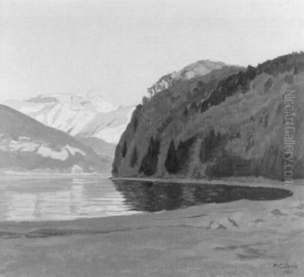 Stille Bucht Am Brienzersee - view 1