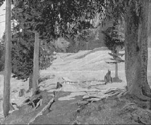 Waldlichtung St. Antoenien (praettigau) Waldlichtung St. Antoenien (praettigau)
