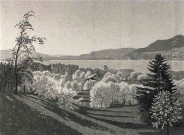 Fruhlingslandschaft Am Brienzersee - view 1