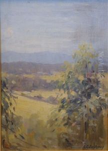Country Valley